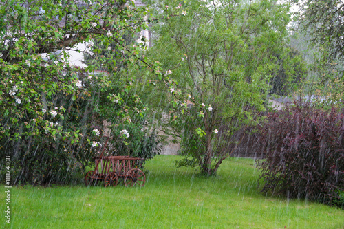 Wetter Garten Im Regen Mit Baumen Und Leiterwagen Kaufen Sie