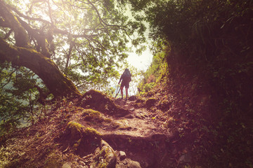 Wall Mural - Hike in Nepal jungle