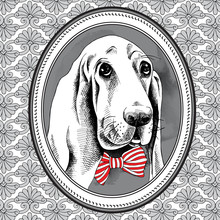 The Picture In The Frame With Image Of The Dog Basset Hound With Bow. Vector Illustration.