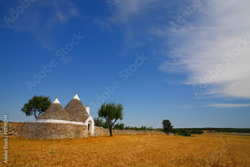 Plakat Piękne krajobrazy Apulii z typowym domem wiejskim Trulli, Włochy