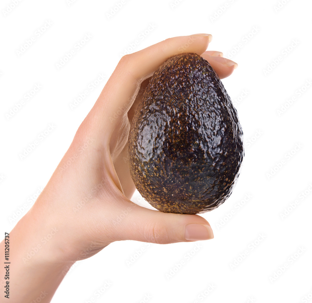 Female hand holding avocado, isolated on white