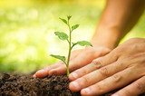 Nurturing baby plant / protect nature / planting tree