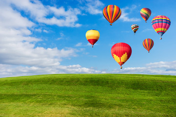 Wall Mural - Colourful hot air balloons flying over green field and blue sky