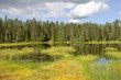Northern landscape. Finland