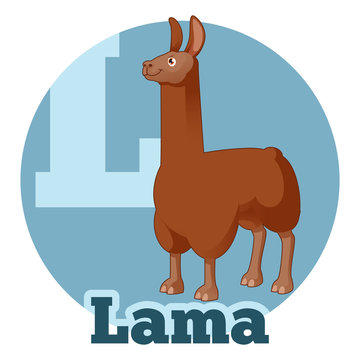 ABC Cartoon Lama