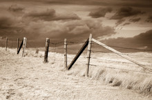 Dramatic Sky On Rural Grasslands, Colorado, United States, Sepia Version