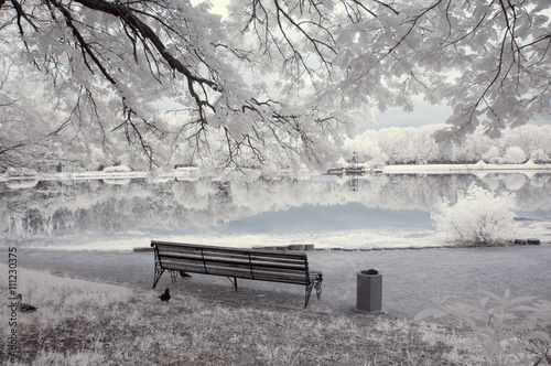 Infrared landscape Slika na platnu