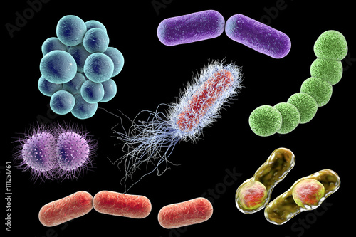 Microbes Isolated On Black Background 3d Illustration Bacteria Of Different Shapes Staphylococci Streptococci Neisseria Clostridium Rod Shaped Escherichia Coli Klebsiella Buy This Stock Illustration And Explore Similar Illustrations At Adobe Microbes Isolated On Black Background 3d Illustration Bacteria Of Different Shapes Staphylococci Streptococci Neisseria Clostridium Rod Shaped Escherichia Coli Klebsiella Buy This Stock Illustration And Explore Similar Illustrations At Adobe