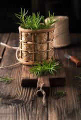 Canvas Print - Rosemary bound on a wooden board