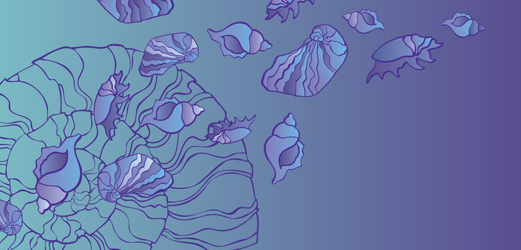 set of seashell seamless background