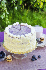 Wall Mural - Blueberry and coconut layer cake