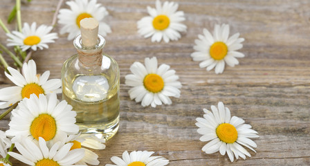 Wall Mural - Chamomile essential oil