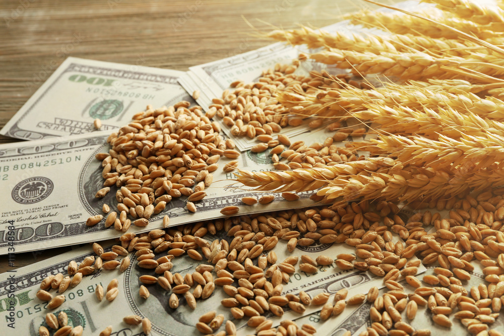 Dollar banknotes and wheat grains. Agricultural income concept