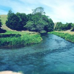 Wall Mural - Spring water