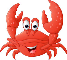 Funny Crab Cartoon