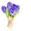 Low poly Blue hyacinth