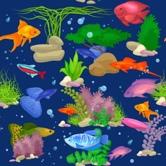 Wall Mural - Aquarium fish, seaweed underwater seamless pattern vector illustration