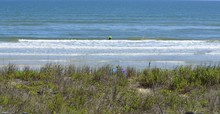 Lone Surfer On Beach At Florida, USA
