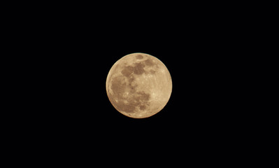 Wall Mural - Moon closeup on black sky background