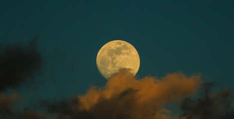 Wall Mural - Moon closeup on dark blue sky, behind the clouds