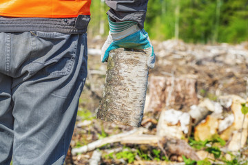 Sticker - Lumberjack with firewood in the woods