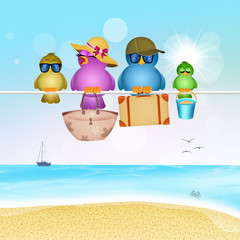 Poster - birds go on vacation to the sea