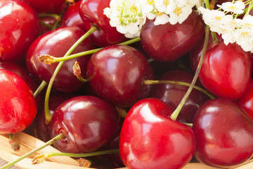 Ripe red sweet cherries closeup