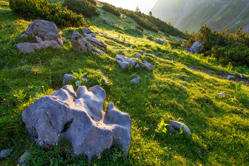 Wall Mural - Alps - Austria