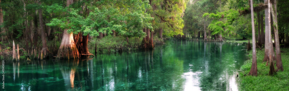Florida spring-fed river panorama - obrazy, fototapety, plakaty 