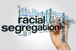Racial segregation word cloud