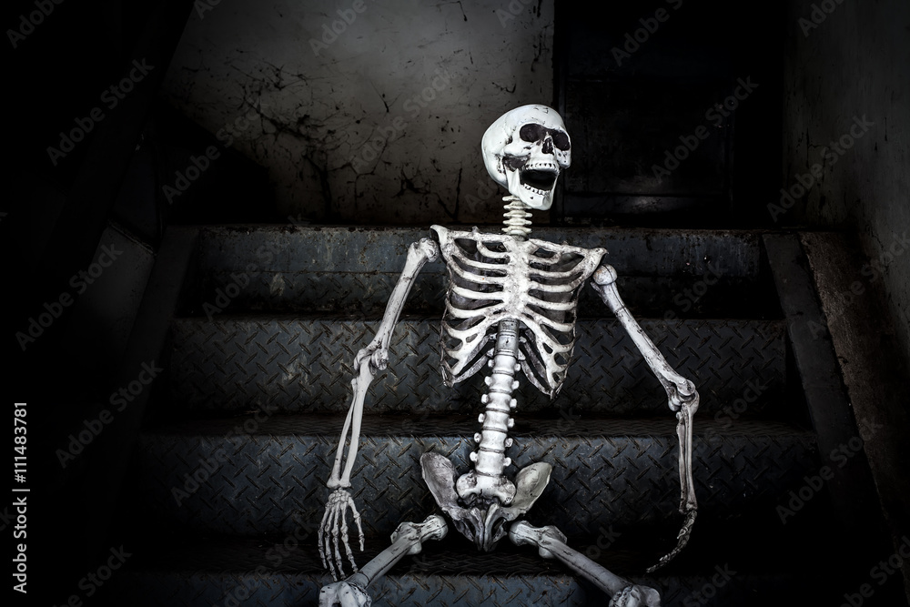 1000_F_111483781_ZmFhT3jjTdPgK5itqSIMR8o0GnODvTgL.jpg