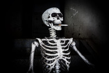 Still Life Smoking Human Skeleton With Cigarette, People Smoke Cigarette Look Like Trying To Commit Suicide, In The Day " World No Tobacco Day" Please Quit Or Stop Smoke For Good Health.