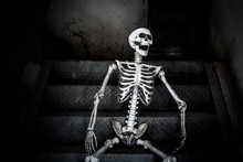 Still Life, Human Skeleton Sitting On The Stairs And Laughing, In Scary Abandoned Building.