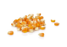 Dried Corn Kernels Isolated On White