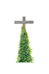 Wall Mural - The cross is covered with green leaves
