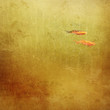 © Bettina Schunk - Goldfish against yellow background