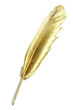 Gold quill