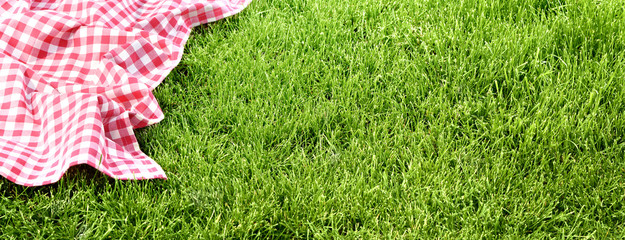 Wall Mural - picnic cloth on meadow