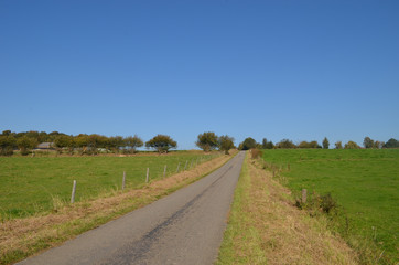 Wall Mural - Asphalt road through rural area with trees and green meadows, Yvoir, Wallonia