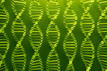 Poster - glass dna structure 3d rendering