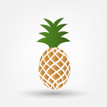 Pineapple Tropical Fruit. Vector Object. Health Symbol