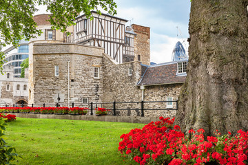 Wall Mural - Tower of London. England