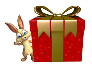 fun Bunny cartoon character with gif box