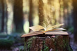 Open book outdoor. Knowledge is power. Book in a forest. Book on a stump