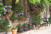 A French Cottage With Lots Of Hanging Baskets, Plants And Flower Pots