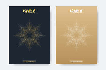 Poster - Modern vector template for brochure, Leaflet, flyer, cover, magazine or annual report. A4 size. Business, science, medicine and technology design book layout. Abstract presentation with golden mandala