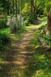 Path through an overgrown neglected graveyard