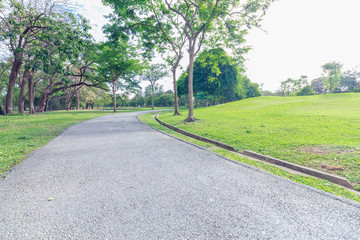 The landscap vintage style in park