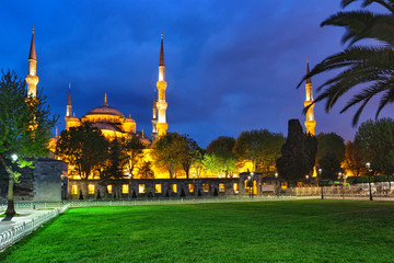 Wall Mural - sultanahmet mosque with lawn