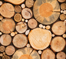 Wall of stacked wood logs as background, texture